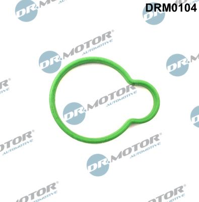 DR.MOTOR AUTOMOTIVE Прокладка, впускной коллектор DRM0104
